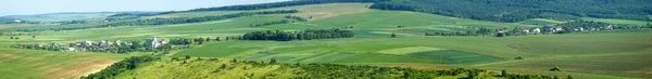 Bela Paisagem Rural Verão Ucrânia Campo Florestal Aldeia Dia Ensolarado — Fotografia de Stock