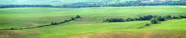 Gyönyörű Panoráma Mezőgazdasági Területek Dombok Egy Nyári Napon — Stock Fotó