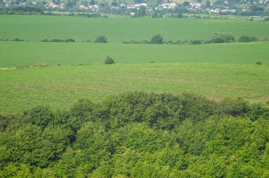 Beautiful summer countryside landscape in Ukraine