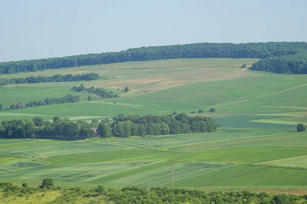 Красивий Краєвид Літньої Сільської Місцевості Україні — стокове фото