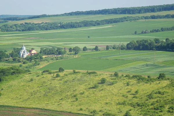 Beautiful Summer Countryside Landscape Ukraine — Zdjęcie stockowe