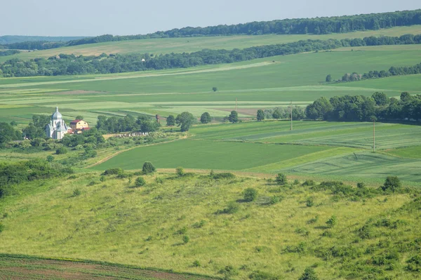 Vackert Sommarlandskap Ukraina — Stockfoto