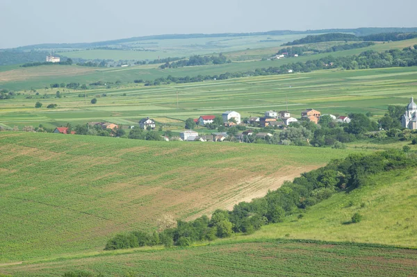 Vackert Sommarlandskap Ukraina — Stockfoto