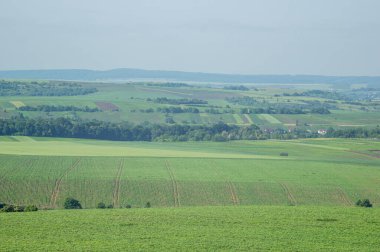 Beautiful summer countryside landscape in Ukraine