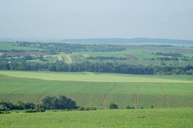 Beautiful summer countryside landscape in Ukraine