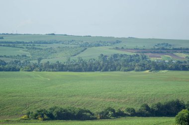 Beautiful summer countryside landscape in Ukraine