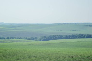 Beautiful summer countryside landscape in Ukraine