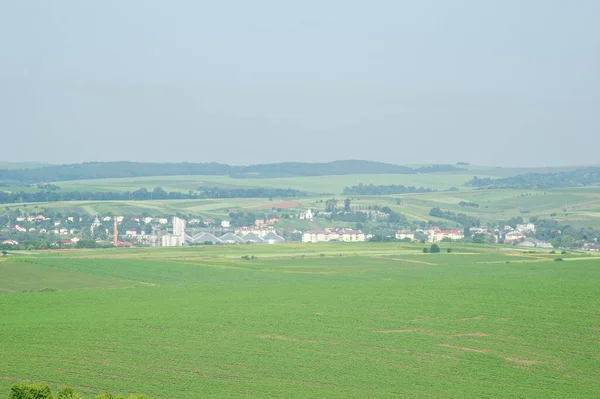 Vackert Sommarlandskap Ukraina — Stockfoto