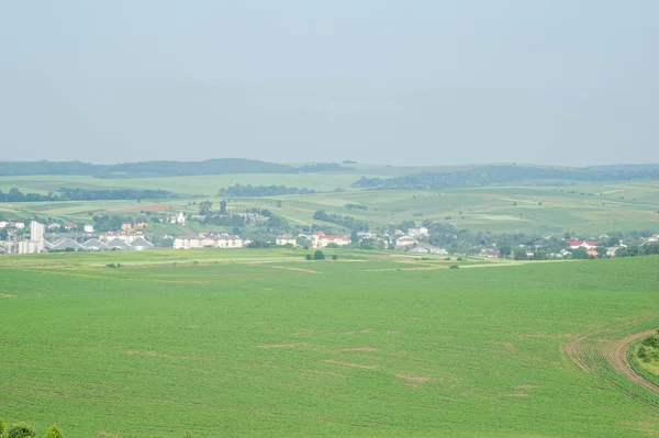 Vackert Sommarlandskap Ukraina — Stockfoto