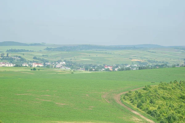 Prachtige Zomer Platteland Landschap Oekraïne — Stockfoto