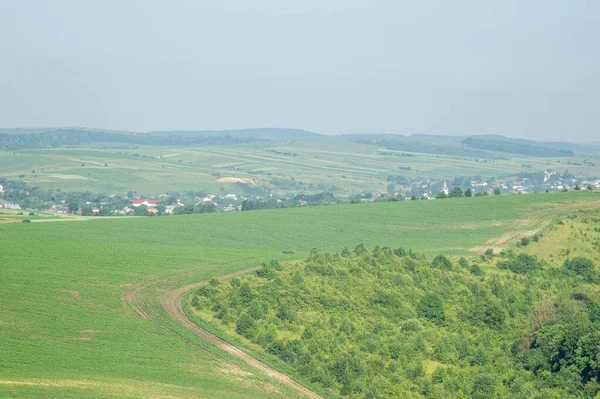 Красивий Краєвид Літньої Сільської Місцевості Україні — стокове фото