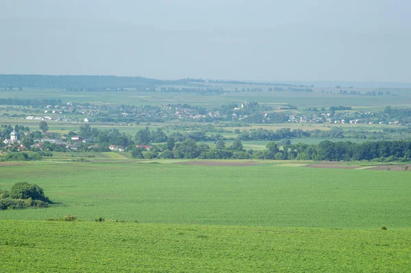 Beautiful Summer Countryside Landscape Ukraine — Zdjęcie stockowe