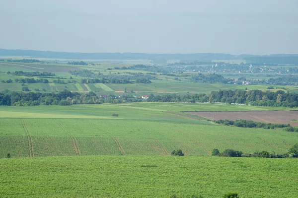 Vackert Sommarlandskap Ukraina — Stockfoto