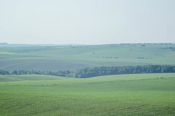 Красивий Краєвид Літньої Сільської Місцевості Україні — стокове фото