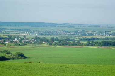 Beautiful summer landscape, fields in the countryside in Ukraine