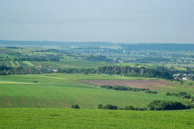 Beautiful summer landscape, fields in the countryside in Ukraine