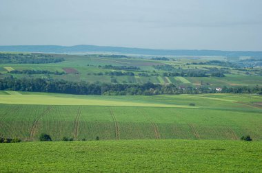 Beautiful summer landscape, fields in the countryside in Ukraine