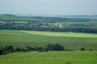 Beautiful summer landscape, fields in the countryside in Ukraine
