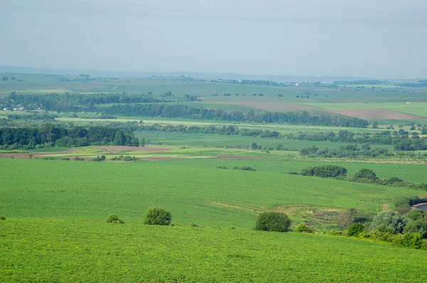 Beautiful Summer Landscape Fields Countryside Ukraine — Zdjęcie stockowe