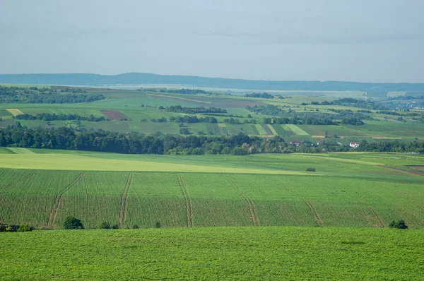 Beautiful Summer Landscape Fields Countryside Ukraine — Fotografia de Stock