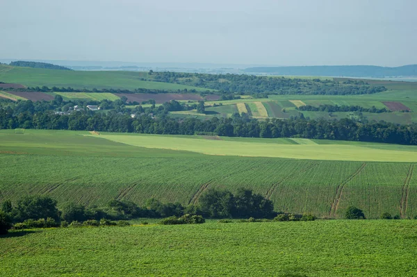 Красиві Літні Краєвиди Поля Сільській Місцевості Украйні — стокове фото