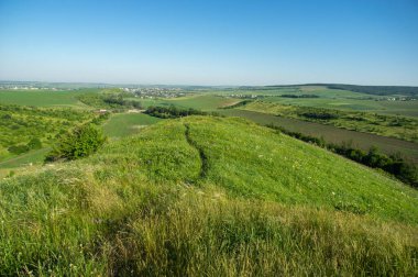 Beautiful summer landscape, fields in the countryside in Ukraine