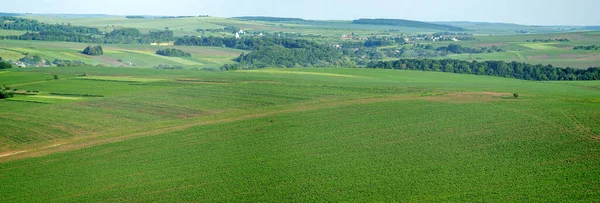 Prachtig Panorama Van Een Groen Veld Zomer Oekraïne — Stockfoto