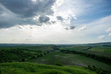 Yaz manzarası ve beyaz bulutlar Ukrayna 'daki yeşil tarlaların üzerinde