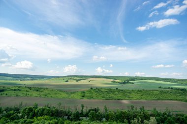 Yaz manzarası ve beyaz bulutlar Ukrayna 'daki yeşil tarlaların üzerinde