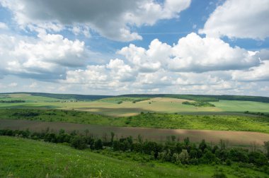 Yaz manzarası ve beyaz bulutlar Ukrayna 'daki yeşil tarlaların üzerinde