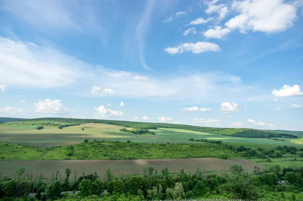 Yaz manzarası ve beyaz bulutlar Ukrayna 'daki yeşil tarlaların üzerinde