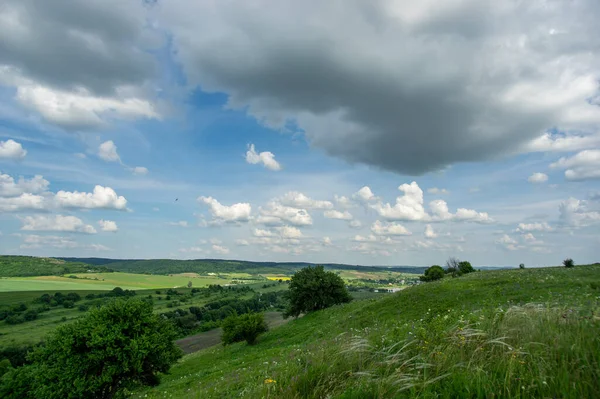 Yaz manzarası ve beyaz bulutlar Ukrayna 'daki yeşil tarlaların üzerinde