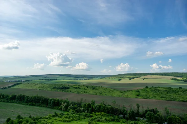 Yaz manzarası ve beyaz bulutlar Ukrayna 'daki yeşil tarlaların üzerinde