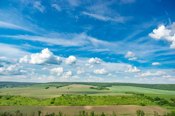 Yaz manzarası ve beyaz bulutlar Ukrayna 'daki yeşil tarlaların üzerinde