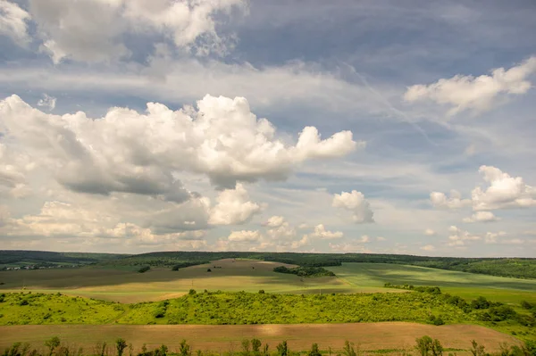 Yaz manzarası ve beyaz bulutlar Ukrayna 'daki yeşil tarlaların üzerinde