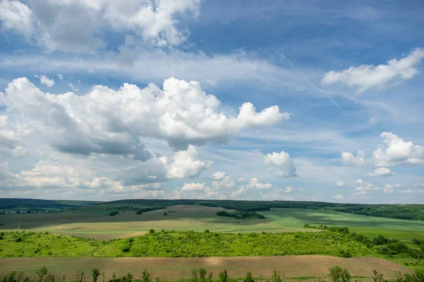 Yaz manzarası ve beyaz bulutlar Ukrayna 'daki yeşil tarlaların üzerinde