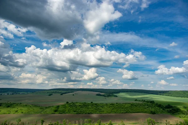 Yaz manzarası ve beyaz bulutlar Ukrayna 'daki yeşil tarlaların üzerinde