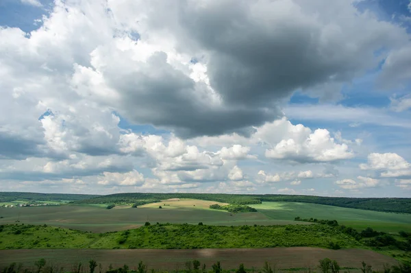 Yaz manzarası ve beyaz bulutlar Ukrayna 'daki yeşil tarlaların üzerinde