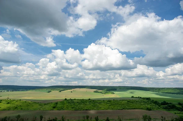 Yaz manzarası ve beyaz bulutlar Ukrayna 'daki yeşil tarlaların üzerinde