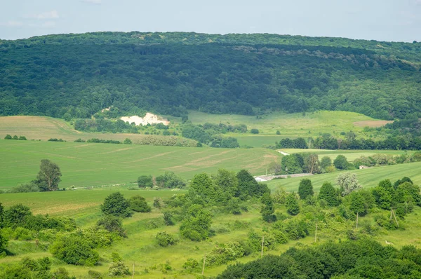 Красивий Літній Краєвид Зелене Поле Сонячний День Украйні — стокове фото