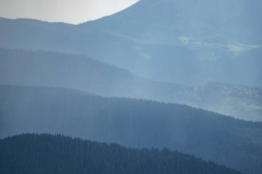 Carpathian mountains and forests in the haze on a summer day, beautiful landscape