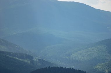 Carpathian mountains and forests in the haze on a summer day, beautiful landscape