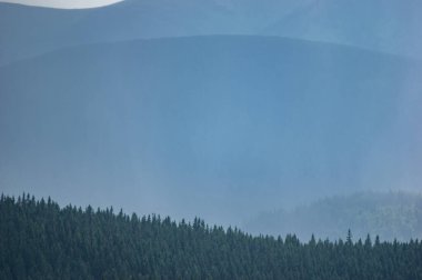 Carpathian mountains and forests in the haze on a summer day, beautiful landscape