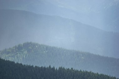 Carpathian mountains and forests in the haze on a summer day, beautiful landscape