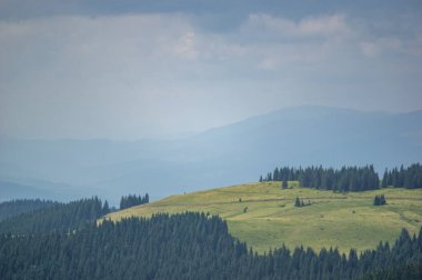 Beautiful summer landscape, mountain meadow among the Carpathian mountains