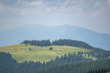Beautiful summer landscape, mountain meadow among the Carpathian mountains
