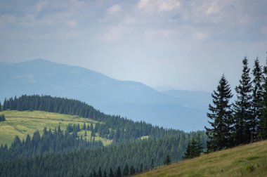 Beautiful summer landscape, mountain meadow among the Carpathian mountains