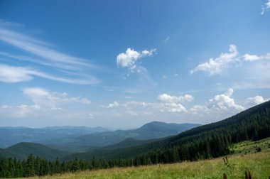 Beautiful summer landscape, mountain meadow among the Carpathian mountains