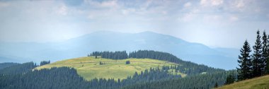 Beautiful summer landscape, mountain meadow among the Carpathian mountains