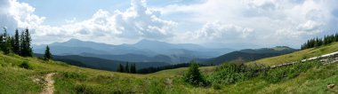 Beautiful summer landscape, mountain meadow among the Carpathian mountains